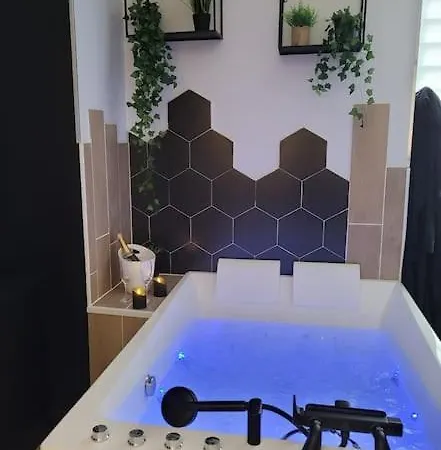 Room, La Douce Angevine Lejlighed Angers