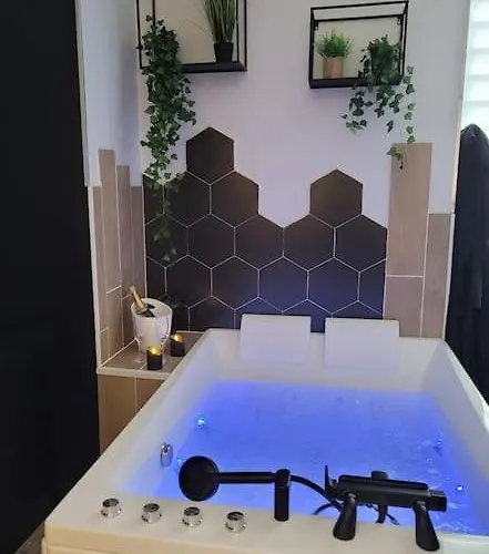 Room, La Douce Angevine Apartmán Angers